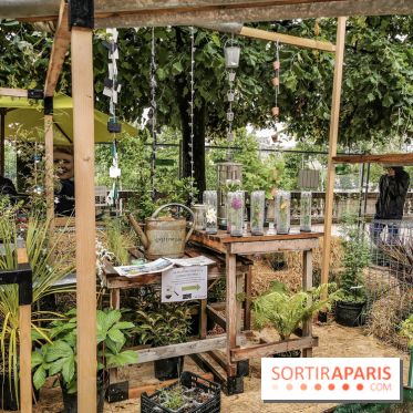 Jardins Jardin aux Tuileries 2019