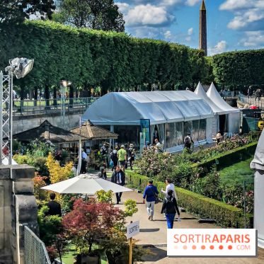 Jardins Jardin aux Tuileries 2019