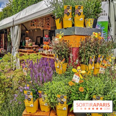 Jardins Jardin aux Tuileries 2019