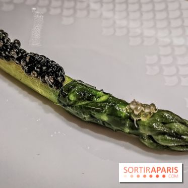 Atelier dégustation de Saké avec Xavier Thuizat au Crillon