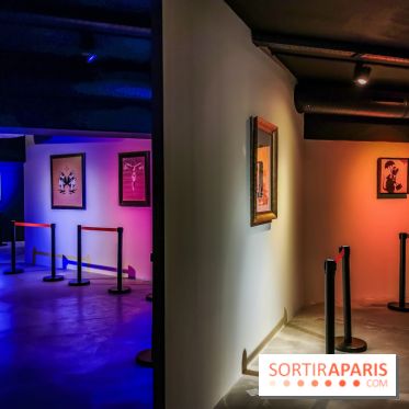 The World of Banksy : expérience immersive à l'Espace Lafayette-Drouot, les photos