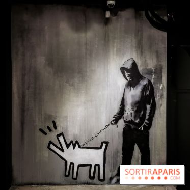 The World of Banksy : expérience immersive à l'Espace Lafayette-Drouot, les photos