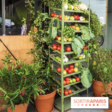Créatures : le restaurant éphémère sur la terrasse des Galeries Lafayette, les photos