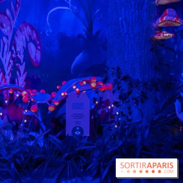 La Schtroumpf Expérience à Paris Expo Porte de Versailles : nos photos