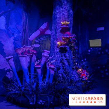 La Schtroumpf Expérience à Paris Expo Porte de Versailles : nos photos