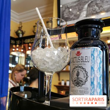 Thé glacé et éclair Cactus Bleu de Mariage Frères, les photos - flacon