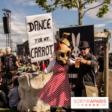 Hellfest 2019 à Clisson, les photos