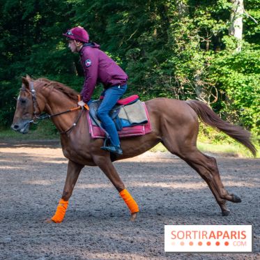 L'Auberge du Jeu de Paume à Chantilly - Écuries de Chantilly