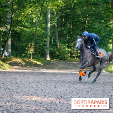 L'Auberge du Jeu de Paume à Chantilly