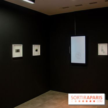 The Projective Drawing, l'exposition au Drawing Lab