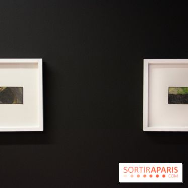 The Projective Drawing, l'exposition au Drawing Lab