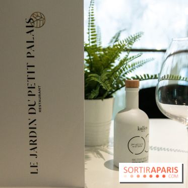 Le jardin du Petit Palais : nos photos 