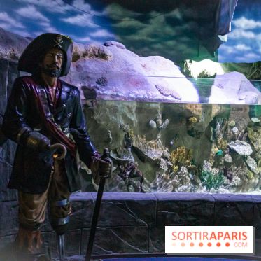 Les petits déjeuners avec les manchots de l'aquarium Sea Life