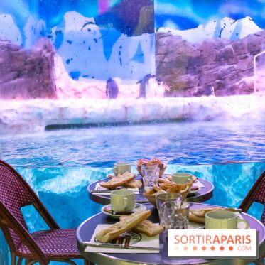 Les petits déjeuners avec les manchots de l'aquarium Sea Life