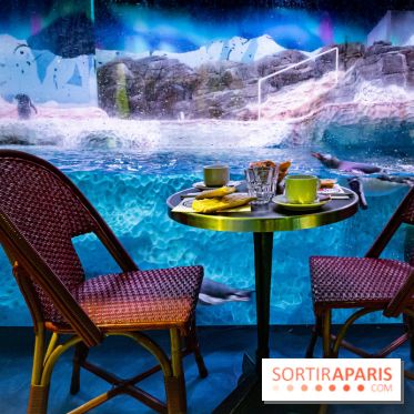 Les petits déjeuners avec les manchots de l'aquarium Sea Life