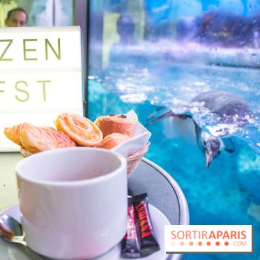 Les petits déjeuners avec les manchots de l'aquarium Sea Life