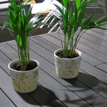 SANYO DIGITAL CAMERA           