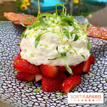 Jardin du Joy été 2019 