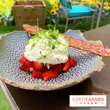 Jardin du Joy été 2019 