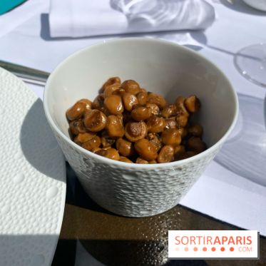 Jardin du Joy été 2019 