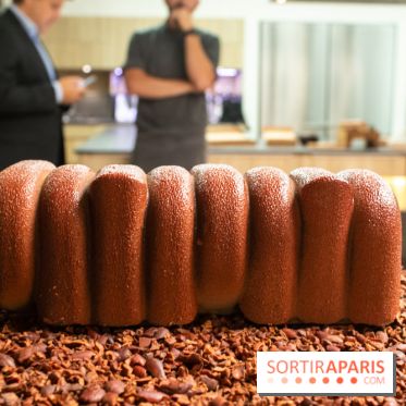 Bûche de Noël 2019 de Ducasse