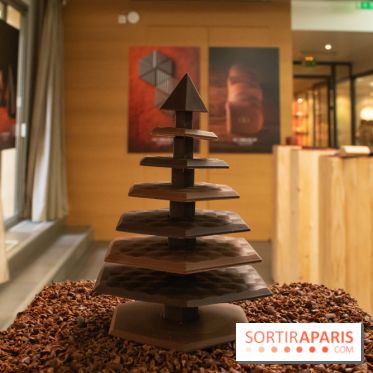 Chocolats de Noël 2019 de Ducasse