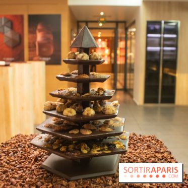 Chocolats de Noël 2019 de Ducasse