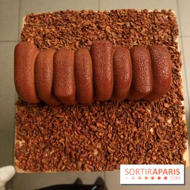 Bûche de Noël 2019 de Ducasse