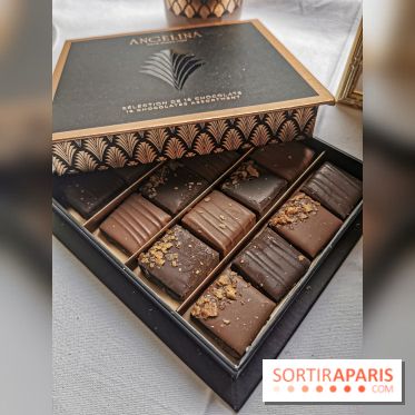 Les Bûches de Noël d'Angelina 2019 