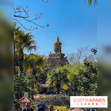 Visuels Disneyland Paris Indiana Jones et le Temple du Péril