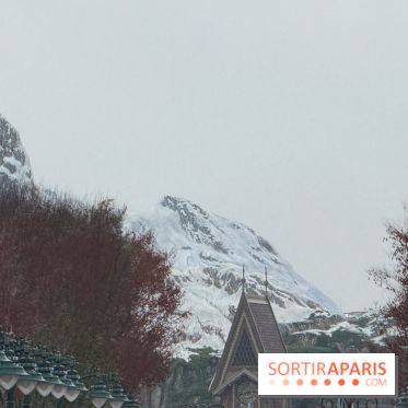 Visuels Disneyland Paris - chantier La Reine des Neiges