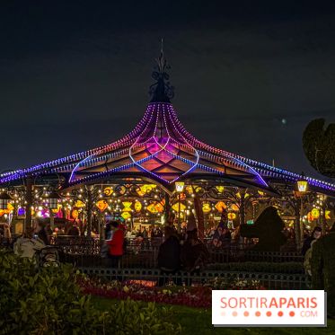 Visuels Disneyland Paris - Mad Hatter's Tea Cups nuit