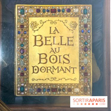 Visuels Disneyland Paris - château belle au bois dormant