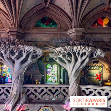 Visuels Disneyland Paris - château belle au bois dormant