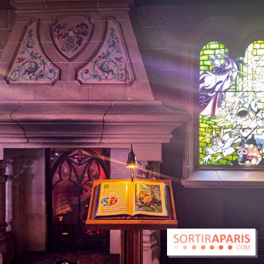 Visuels Disneyland Paris - château belle au bois dormant