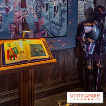 Visuels Disneyland Paris - château belle au bois dormant