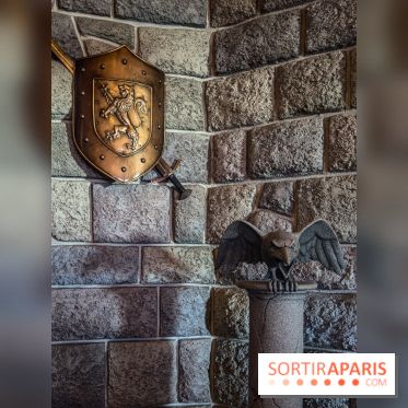 Visuels Disneyland Paris - château belle au bois dormant