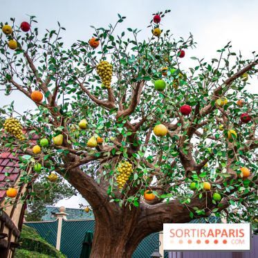 Visuels Disneyland Paris Fantasyland