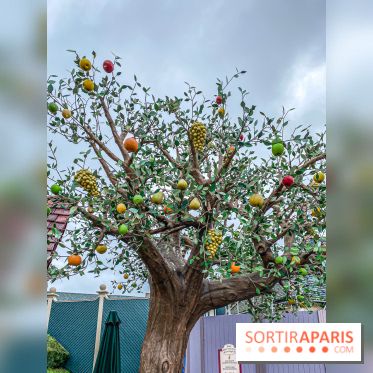 Visuels Disneyland Paris Fantasyland