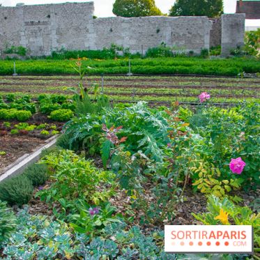Le Château de Chambord fête ses 500 ans : le programme des festivités
