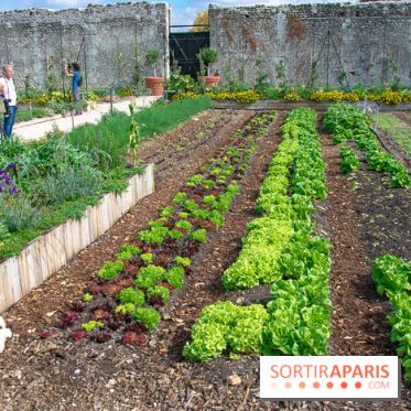 Le Château de Chambord fête ses 500 ans : le programme des festivités