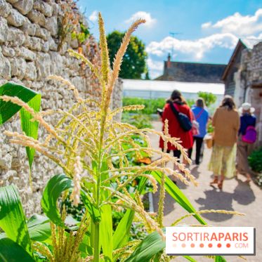 Le Château de Chambord fête ses 500 ans : le programme des festivités