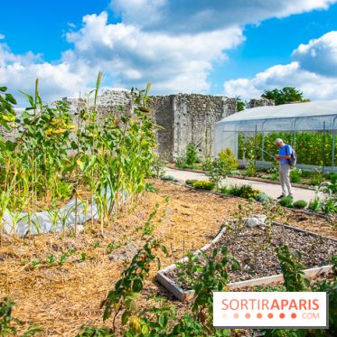 Le Château de Chambord fête ses 500 ans : le programme des festivités