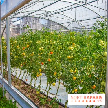 Le Château de Chambord fête ses 500 ans : le programme des festivités