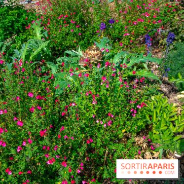 Le Château de Chambord fête ses 500 ans : le programme des festivités