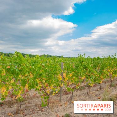 Le Château de Chambord fête ses 500 ans : le programme des festivités