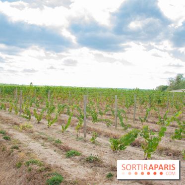 Le Château de Chambord fête ses 500 ans : le programme des festivités