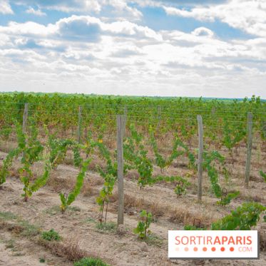 Le Château de Chambord fête ses 500 ans : le programme des festivités