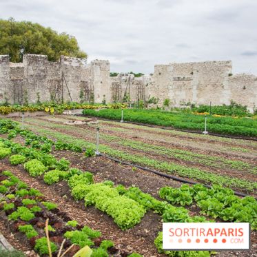 Le Château de Chambord fête ses 500 ans : le programme des festivités