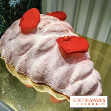 Bûche et création de Noël de Pierre Hermé 2019 et Galette des rois 2020